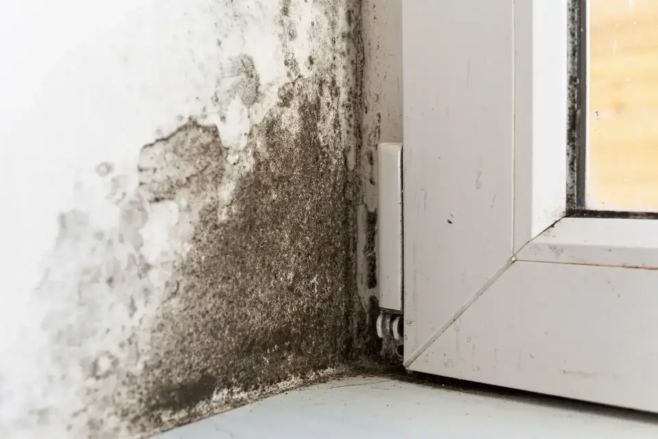 Restoring Peace of Mind After Unexpected Floods — Englewood, CO
